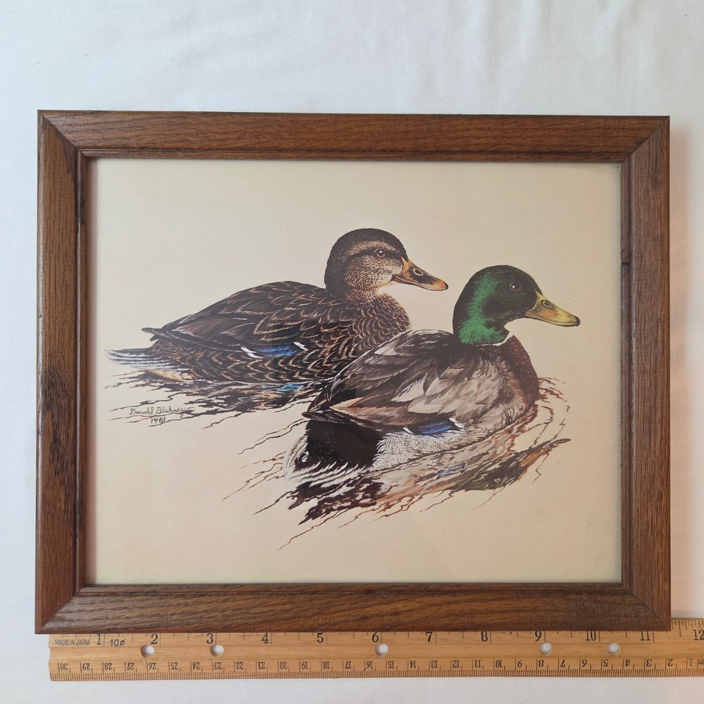 Vtg Donald Blakney #1481 Mallard Duck Pair Framed Wildlife Art Print 11.5x9.5